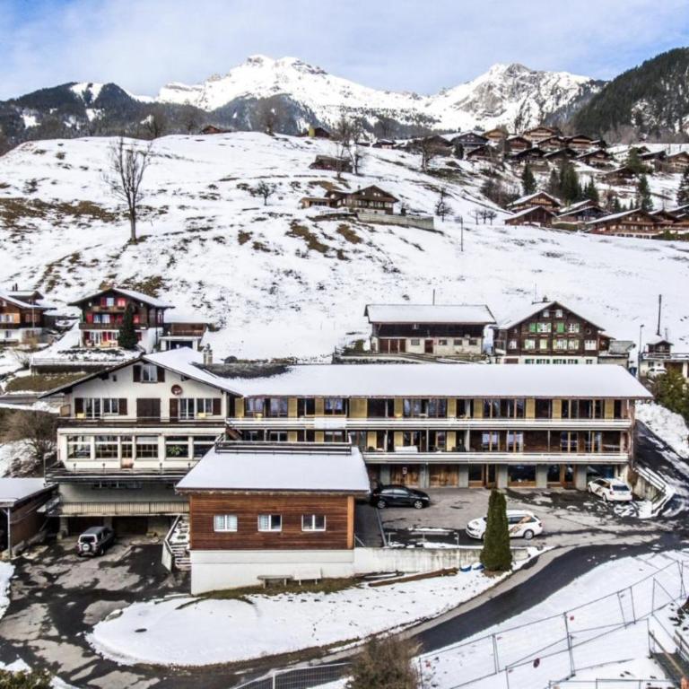 The Glacier Express Apartment - GRINDELHOMES - Appartement - 13