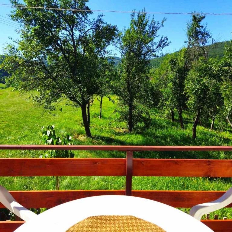 Jankovići Ravni Zlatibor - Three-Bedroom Apartment - 40