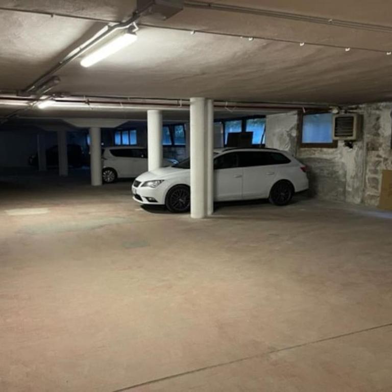 Stella Alpina San Martino di Castrozza vista Pale - Appartamento con 2 Camere da Letto - 30