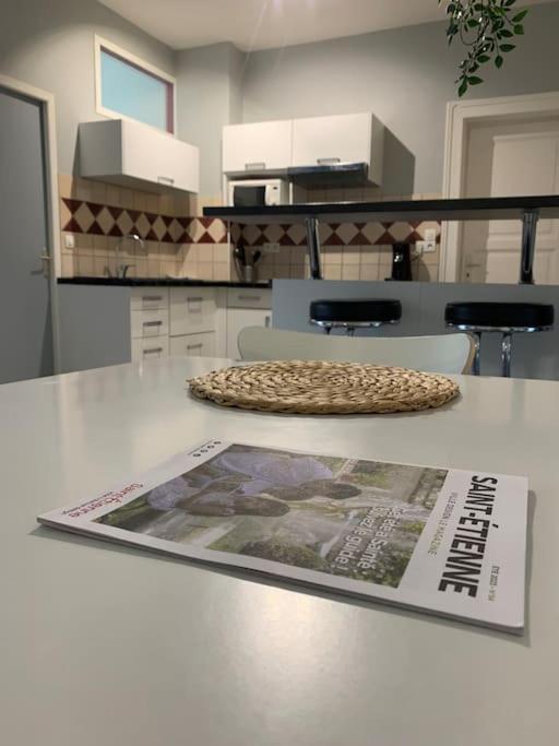 Grand studio centre ville Saint-Etienne - Apartment mit 1 Schlafzimmer - 6