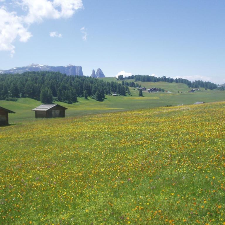 La Majon Apartments - Appartamento con Vista Montagna (4 Adulti) - 4