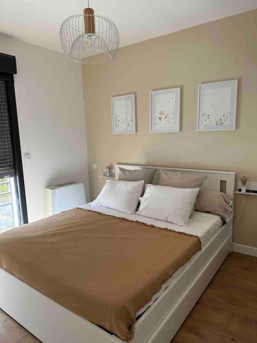 Magnifique T2 ajaccio - Apartamento de 1 dormitorio - 8