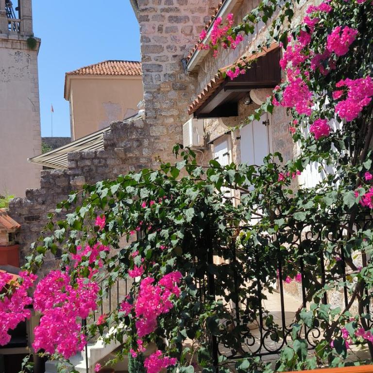 Apartments Renaissance Old town - Apartman sa Pogledom na More - 2