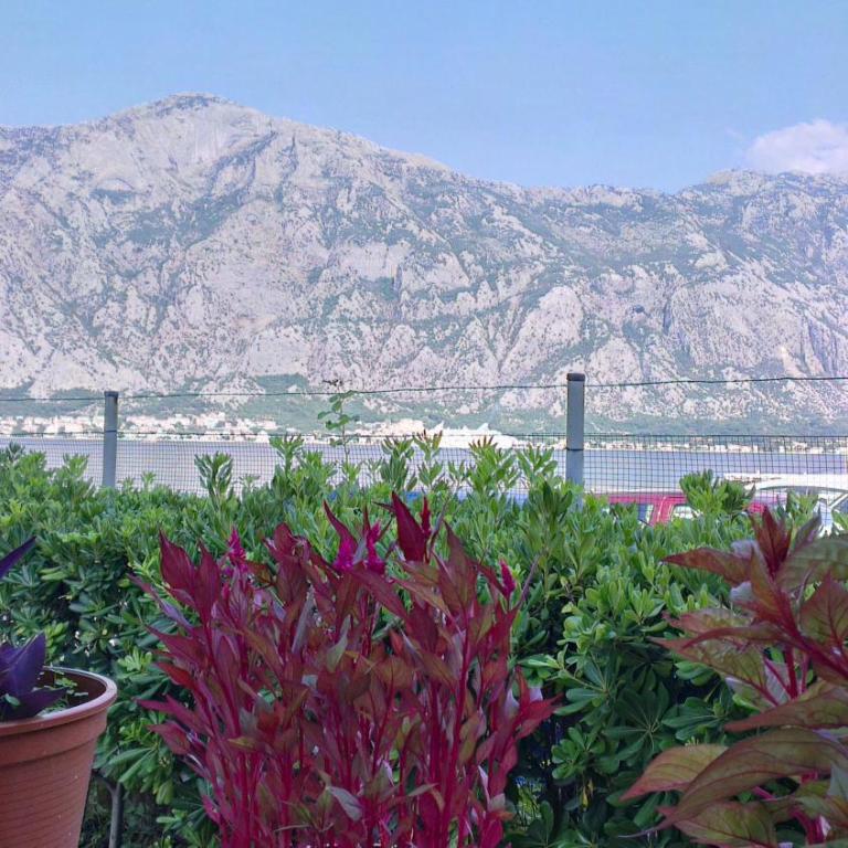 Apartments Dani - Apartment with Sea View - 44