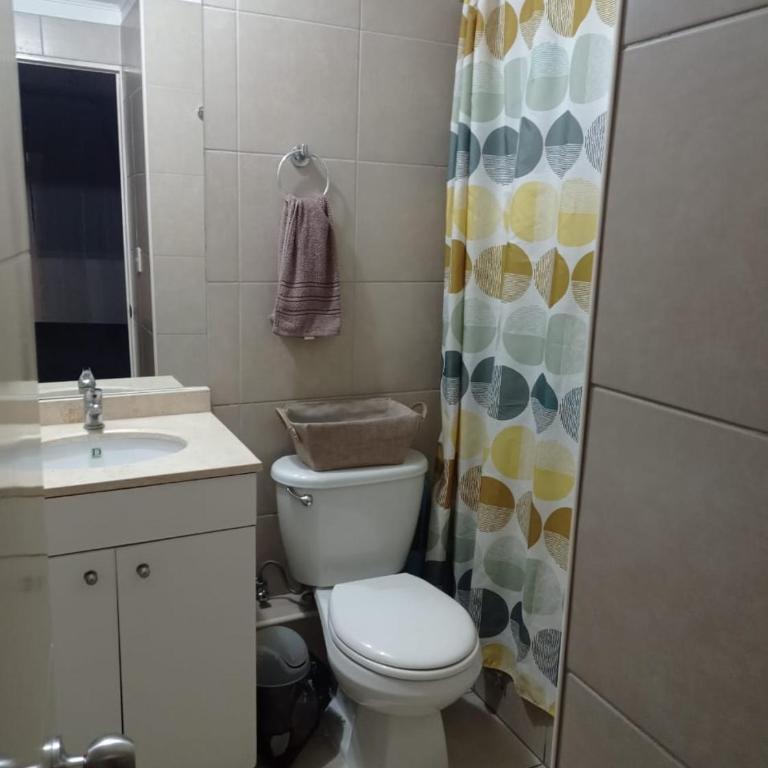 Céntrico Departamento en Santiago - Apartamento de 1 dormitorio - 4