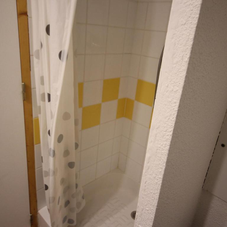 Appart cosy, accès pistes, mezzanine, casier à skis, animaux admis - Apartment mit 1 Schlafzimmer - 12