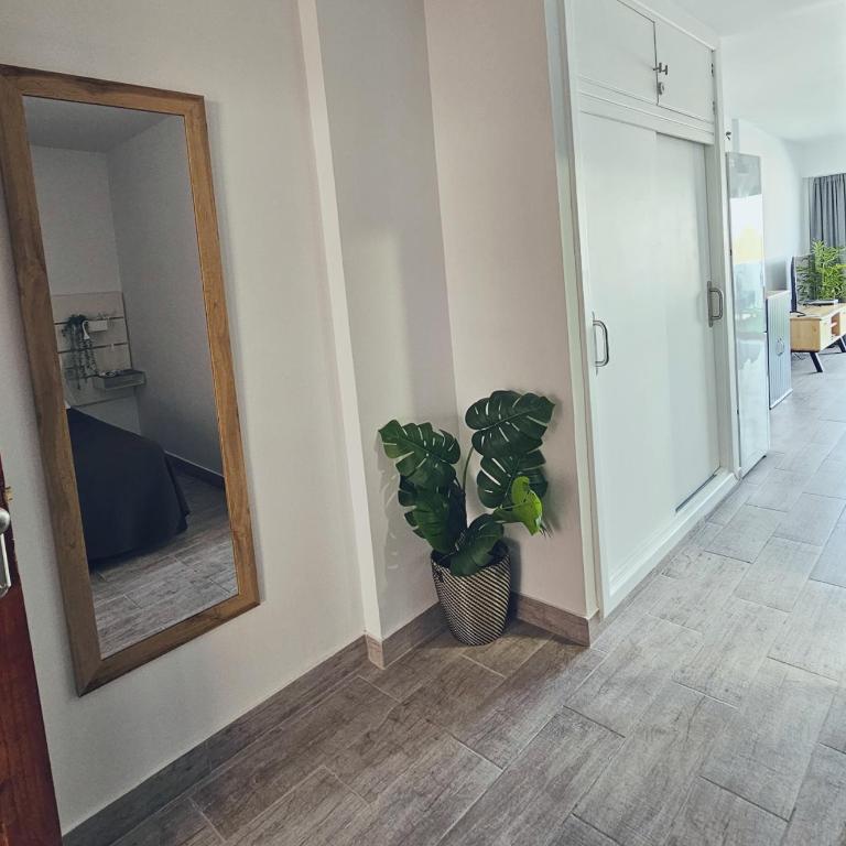 Carpe Diem Suite - Apartamento de 1 dormitorio - 22