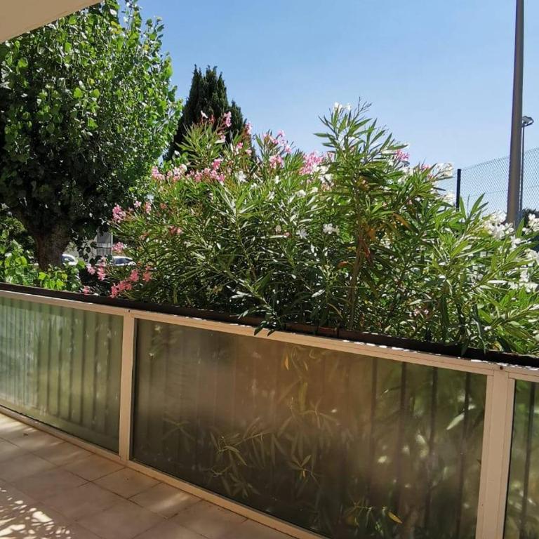 Studio Rénové avec Grande Terrasse et Wifi à Balaruc-les-Bains - FR-1-553-230 - Studio - 3