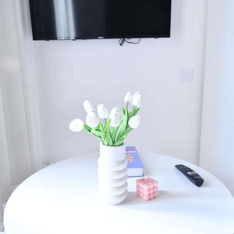 Studio 1 Pièce 20 m2 - Appartement 1 Chambre - 14