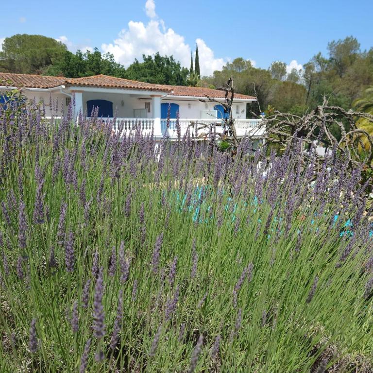 Superbe appartement de standing Le Trophée du Golf - Appartamento con 2 Camere da Letto - 3