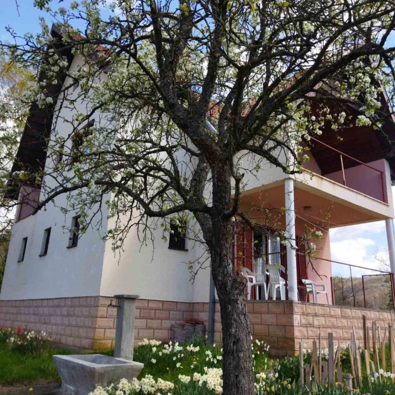 Jankovići Ravni Zlatibor - Three-Bedroom Apartment - 33
