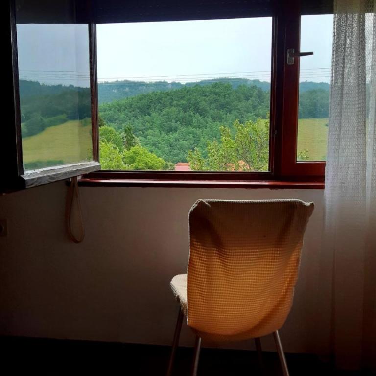 Jankovići Ravni Zlatibor - Three-Bedroom Apartment - 36