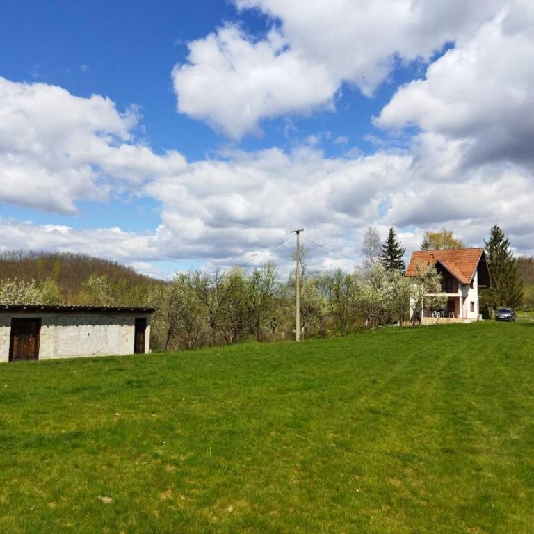 Jankovići Ravni Zlatibor - Three-Bedroom Apartment - 46