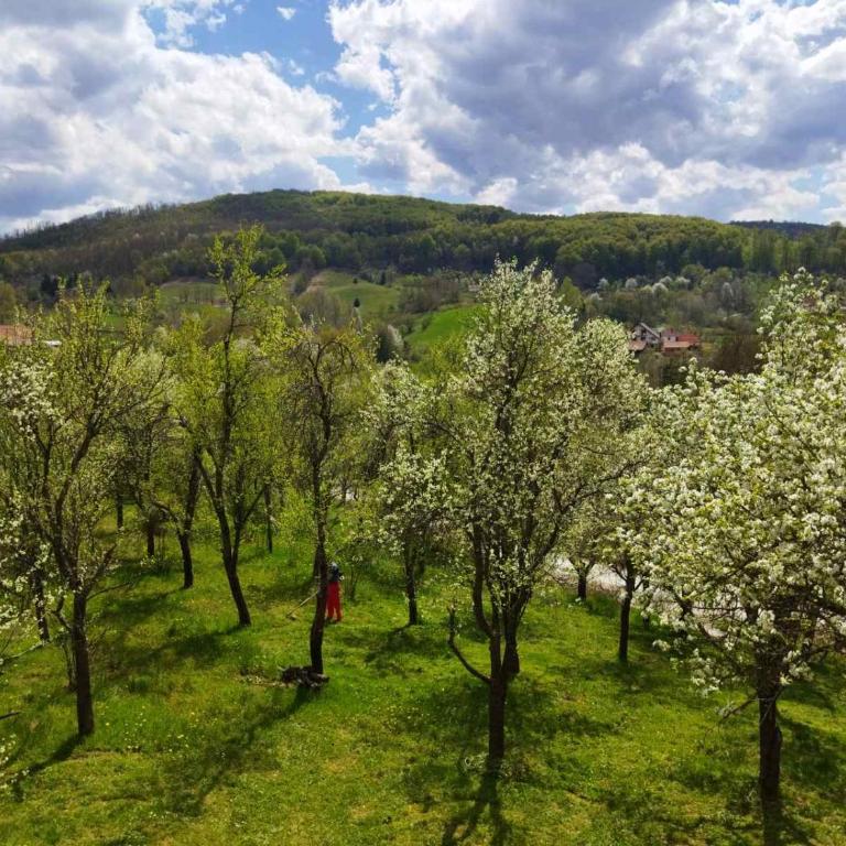 Jankovići Ravni Zlatibor - Three-Bedroom Apartment - 38