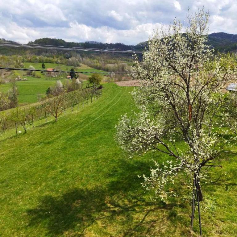 Jankovići Ravni Zlatibor - Three-Bedroom Apartment - 45