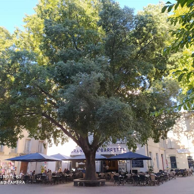 Bel appartement dans centre historique avignon - Apartment mit 1 Schlafzimmer - 19