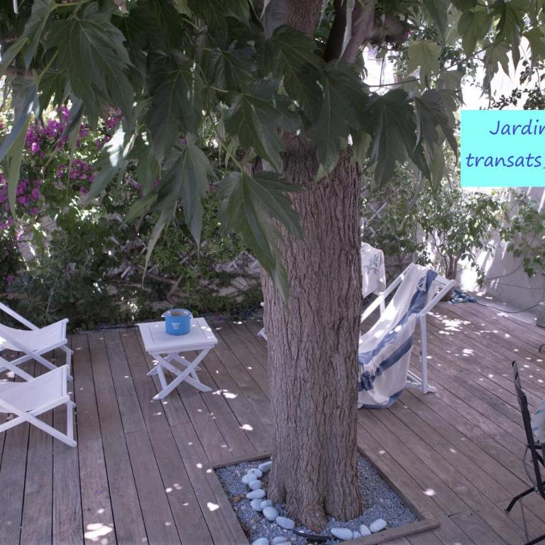 Les galets bleus de Calvi - Villa - 37
