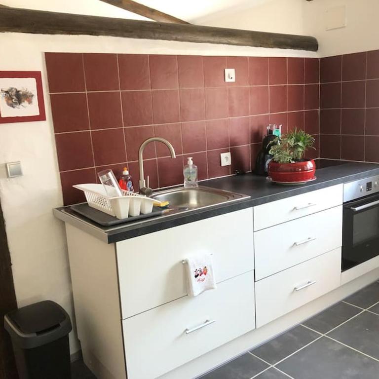 Logement insolite au coeur d'une écurie - Appartement 1 Chambre - 12