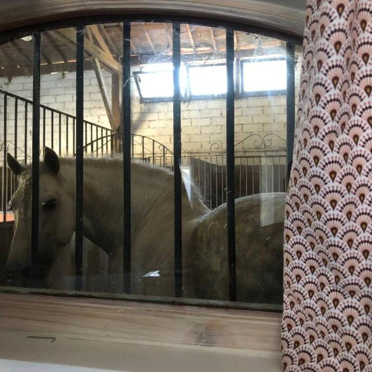 Logement insolite au coeur d'une écurie - Appartement 1 Chambre - 7