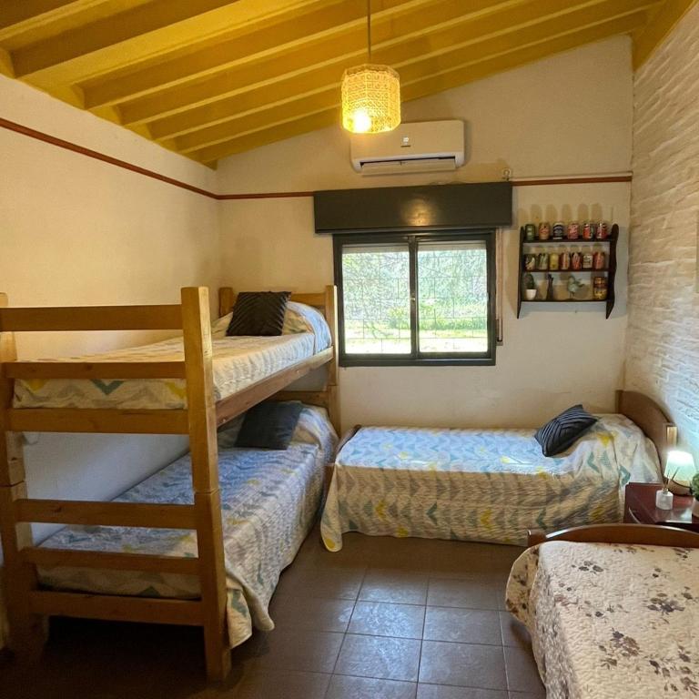 Dimensión Desconocida - Casa de 2 dormitorios - 26