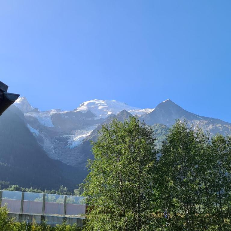 Les Bossons Studio - Chalet de 1 dormitorio - 11
