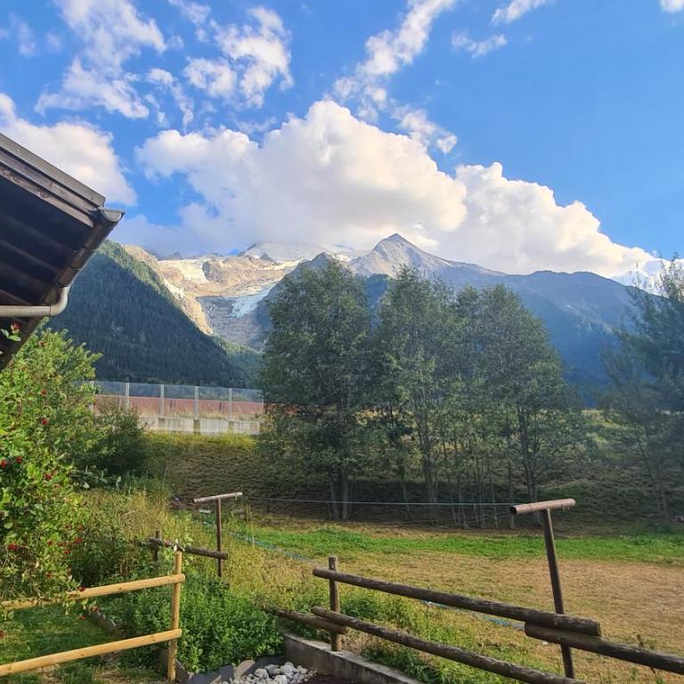 Les Bossons Studio - Chalet de 1 dormitorio - 12