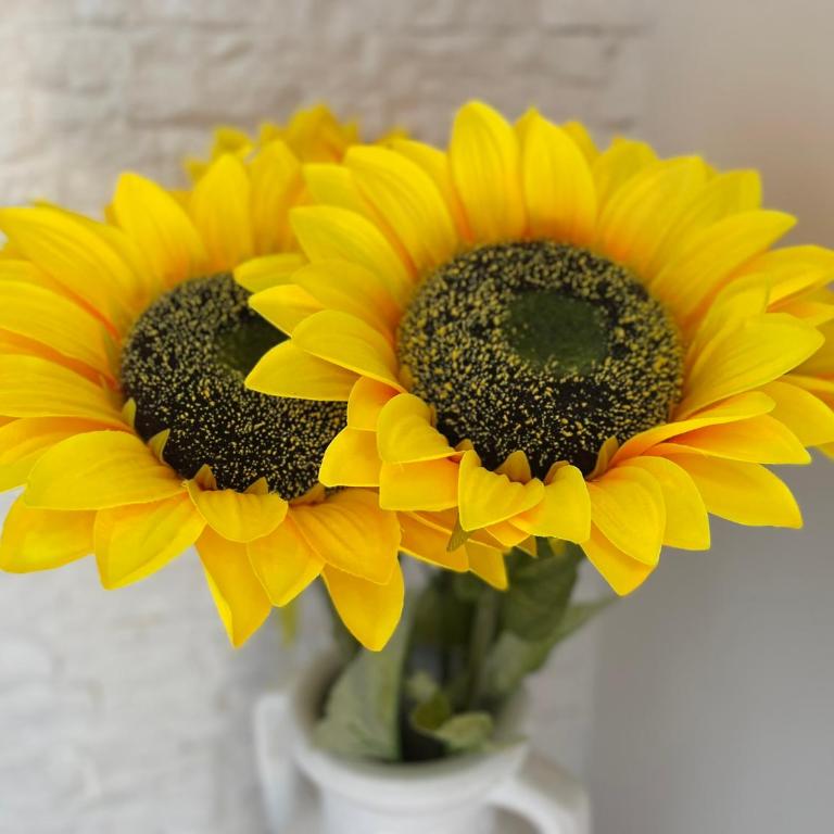 Attico Girasole - Appartamento con 3 Camere da Letto - 11