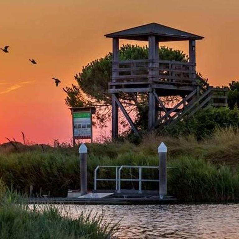 Alloggio turistico a Ravenna - Appartamento con 1 Camera da Letto - 32