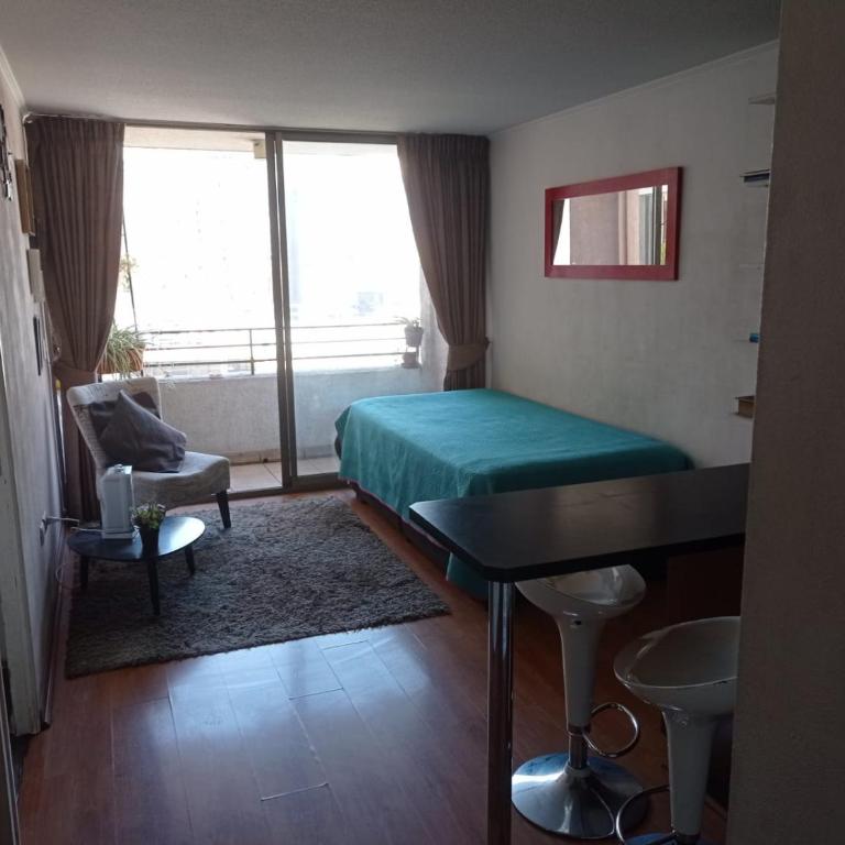 Céntrico Departamento en Santiago - Apartamento de 1 dormitorio - 9