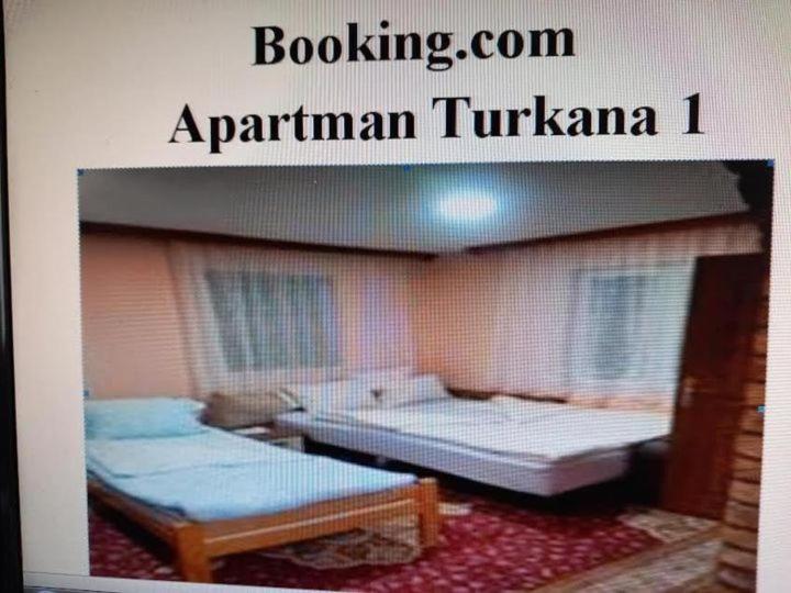 Apartman Turkana 1 - Classic Triple Room - 1