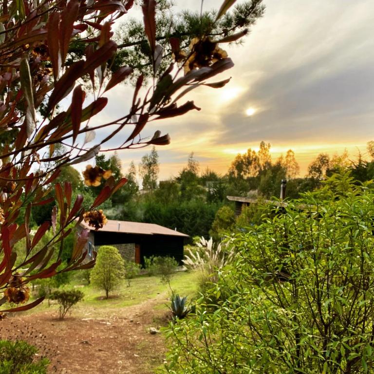 Cabañas Bosques de Puertecillo - Two-Bedroom House - 7