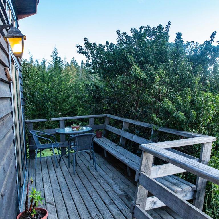 Cabañas Bosques de Puertecillo - Two-Bedroom House - 9