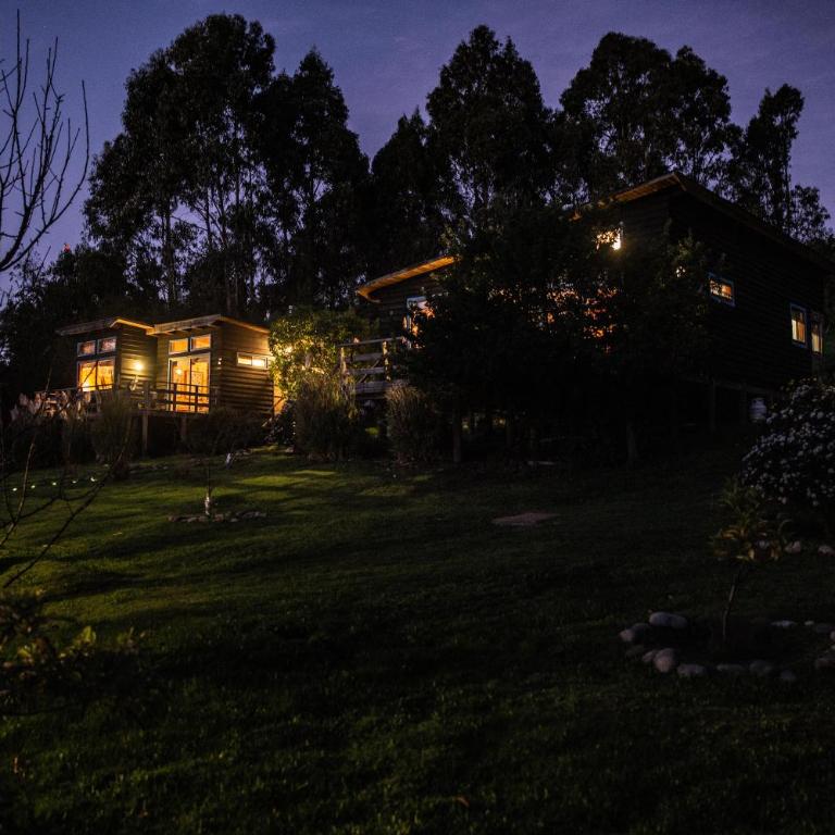 Cabañas Bosques de Puertecillo - One-Bedroom House - 13