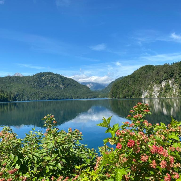 Villa Herzland Allgäu mit großem Garten und gemütlichem Kaminfeuer inklusive KÖNIGSCARD, Skipass, Bergbahn, Therme inkl - Villa mit 3 Schlafzimmern - 26