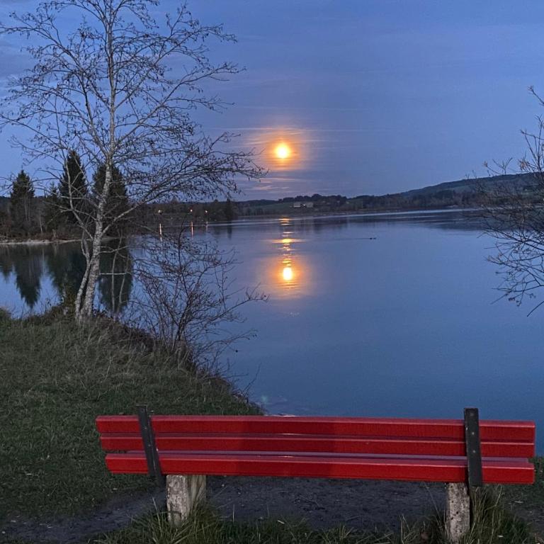 Villa Herzland Allgäu mit großem Garten und gemütlichem Kaminfeuer inklusive KÖNIGSCARD, Skipass, Bergbahn, Therme inkl - Villa mit 3 Schlafzimmern - 30
