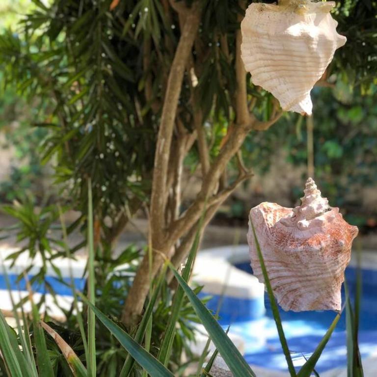 Casa Santa Helena - Casa de 4 dormitorios - 14