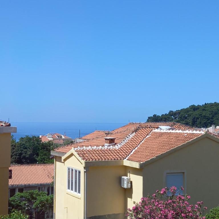 Apartman Pejovic - One-Bedroom Apartment - 11