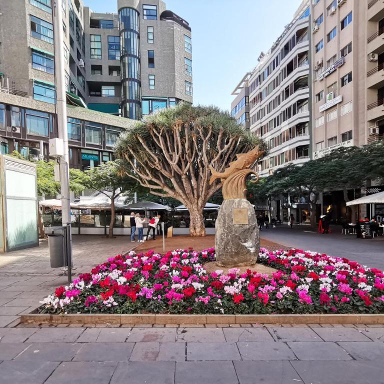 Home2Book Charming Apt Santa Cruz City Center - Apartamento de 2 dormitorios - 23