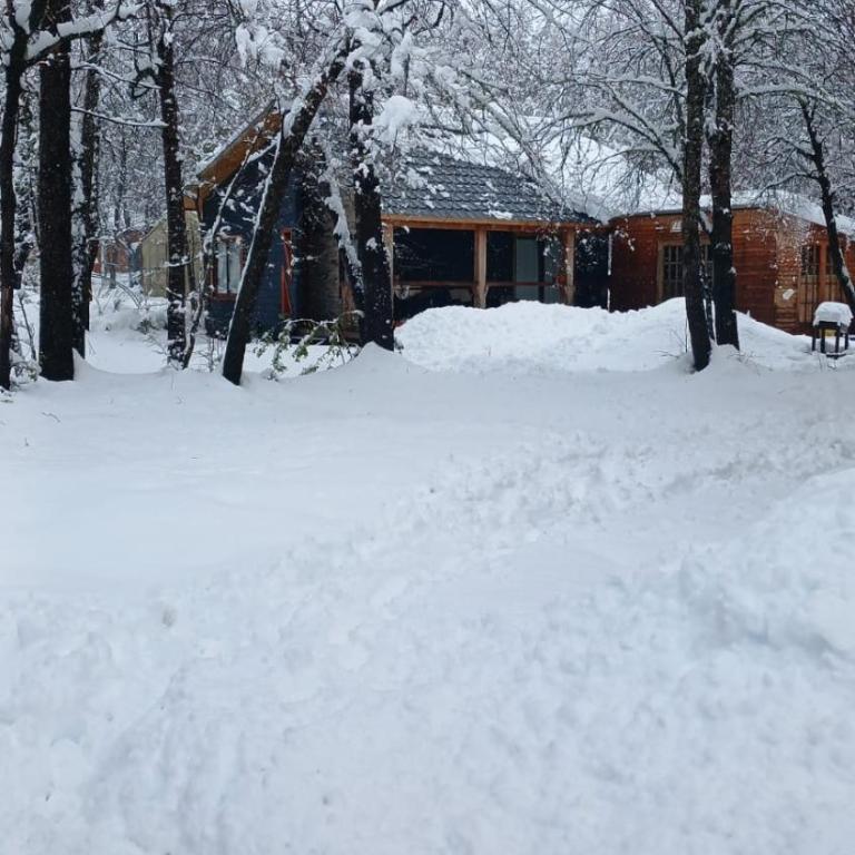 Refugio Vacacional II - Las Trancas - RENTCOVAC - Chalet de 2 dormitorios - 1
