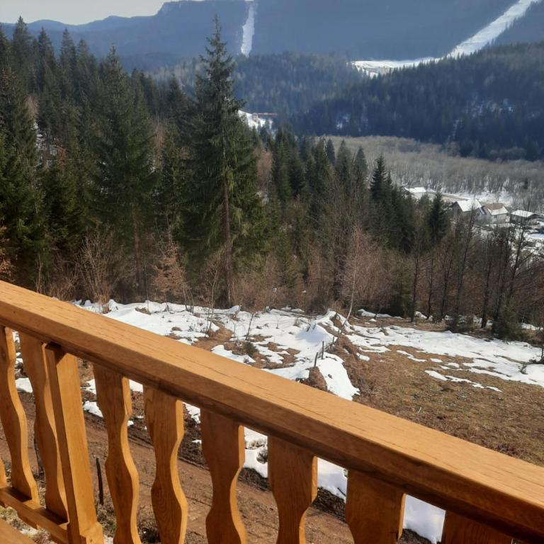 Apartmani Kamini RAVNA PLANINA - One-Bedroom Apartment - 19