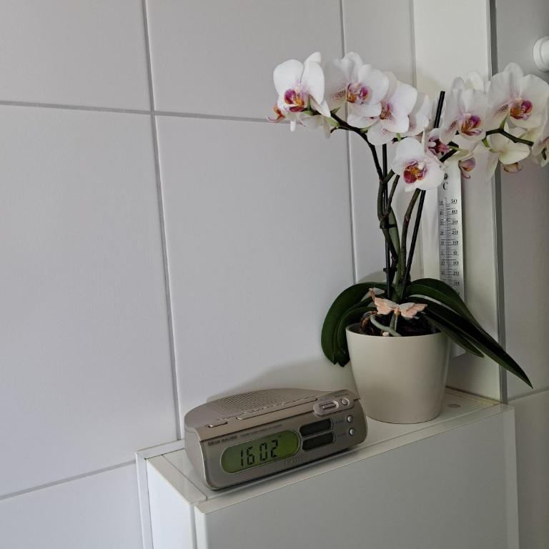 Appartement Fromme Helene - Apartment mit 2 Schlafzimmern - 27