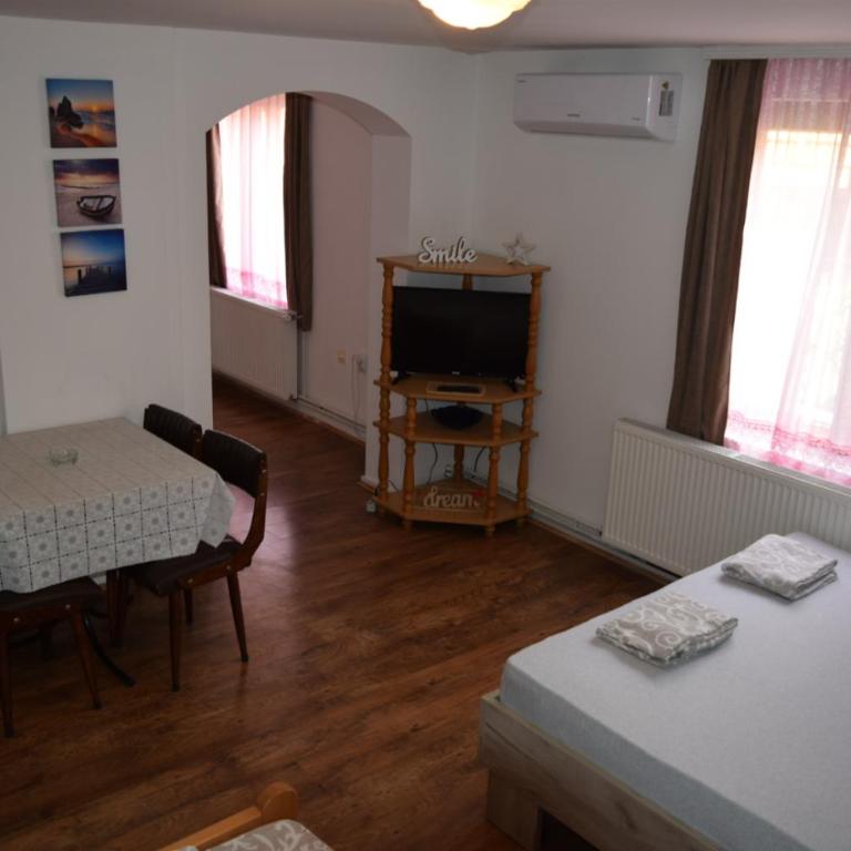Smeštaj Antić - Porodični Studio - 4