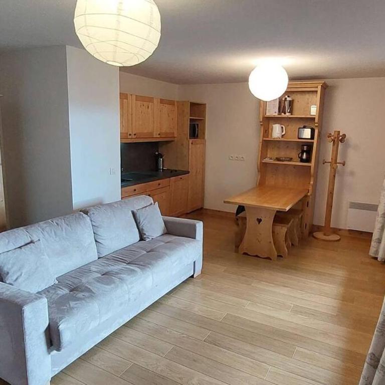 Paradiski bel appartement rénové plan peisey - Apartamento - 1