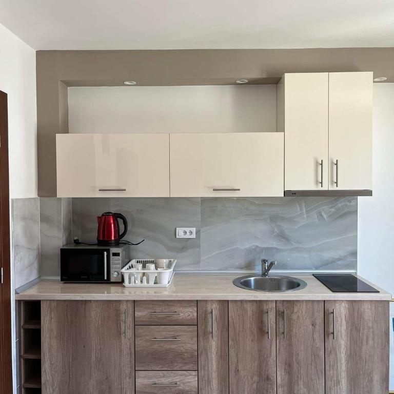 Vila Simfonija with Free parking - Apartman sa Pogledom na Vrt - 6