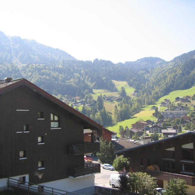 Appartement 2 ch, centre de La Clusaz, 8 pers, proche pistes et activités - FR-1-437-55 - Apartment (8 Adults) - 2