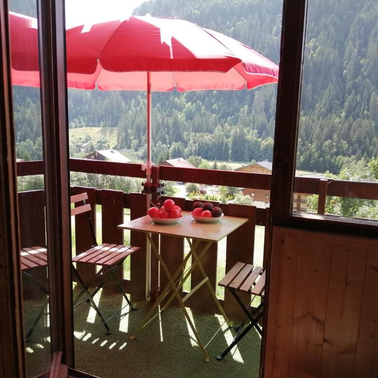 Studio cosy pour 4 pers, vue imprenable et parking, Châtel - FR-1-198-237 - Studio - 11