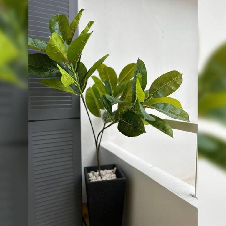 BAL0507 Excelente, Moderno y gran depto en San Telmo - Apartamento de 1 dormitorio - 42