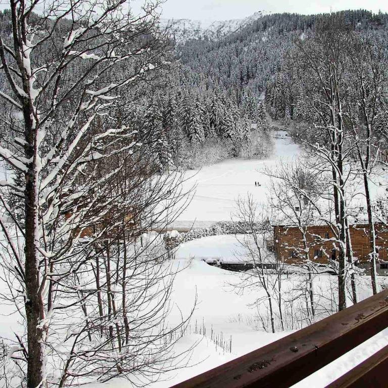 Appartement 3 pièces avec balcon et garage proche des pistes - FR-1-459-142 - Appartement (6 Adultes) - 9