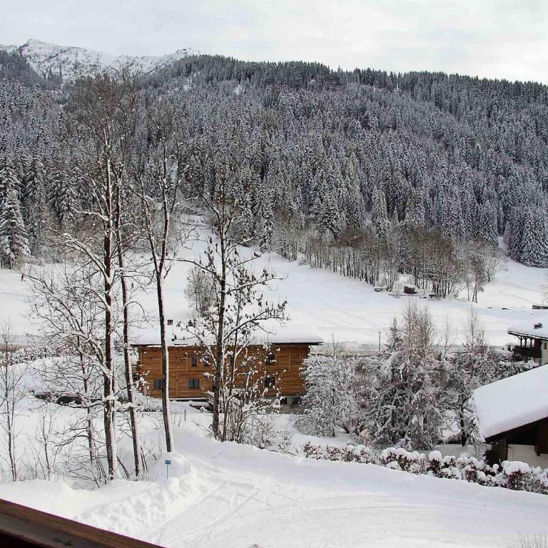 Appartement 3 pièces avec balcon et garage proche des pistes - FR-1-459-142 - Appartement (6 Adultes) - 10