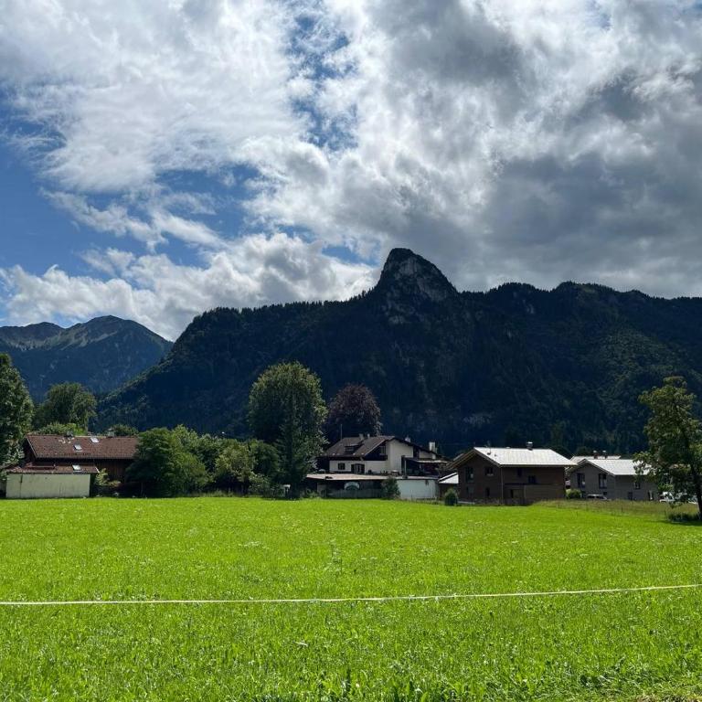 Alpina Haus - Apartment - 61